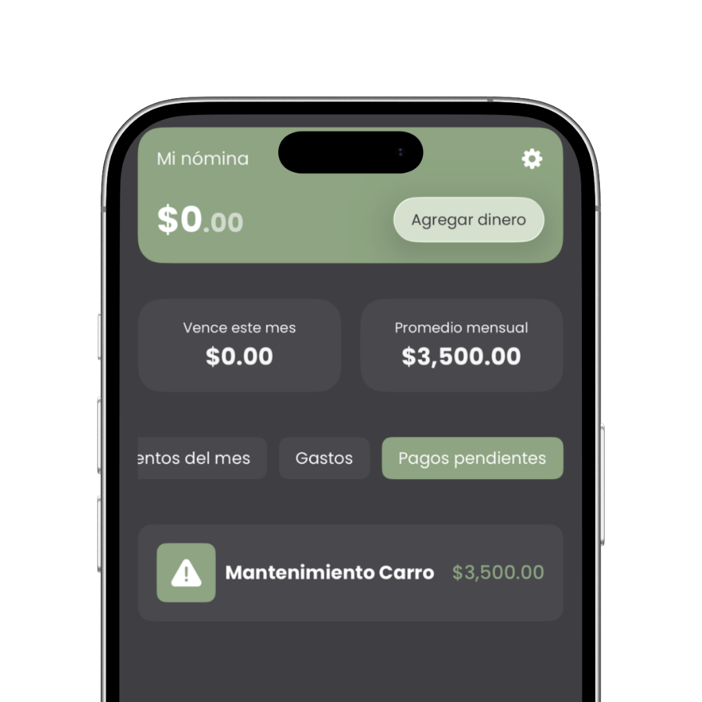 Mis Finanzas visualización clara de reportes en iPhone