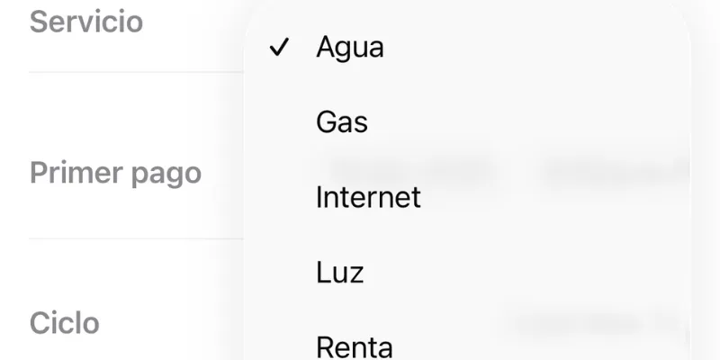 Pantalla de registro de servicio como luz o internet en Mis Deudas