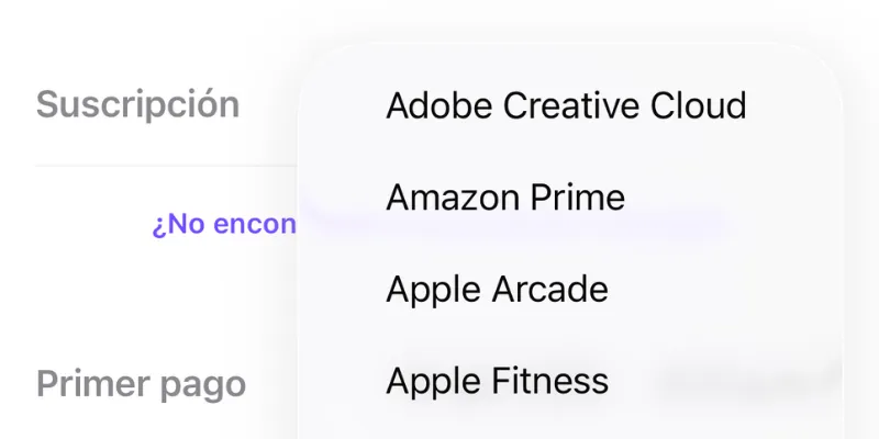 Pantalla de registro de suscripción como Netflix o Spotify en Mis Deudas para iPhone